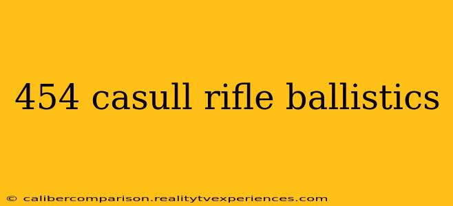 454 casull rifle ballistics