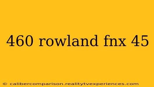 460 rowland fnx 45