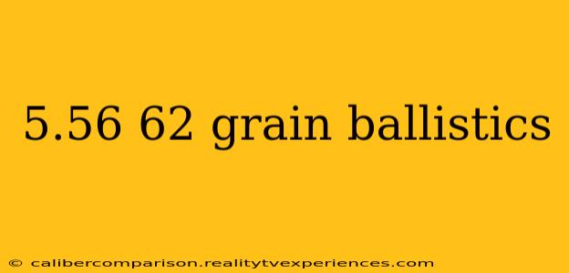 5.56 62 grain ballistics