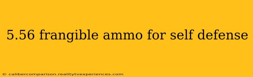 5.56 frangible ammo for self defense