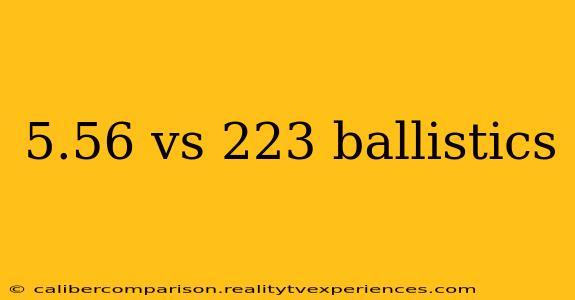 5.56 vs 223 ballistics