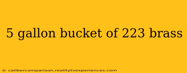 5 gallon bucket of 223 brass