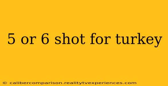 5 or 6 shot for turkey