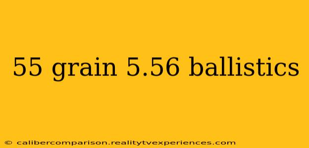 55 grain 5.56 ballistics