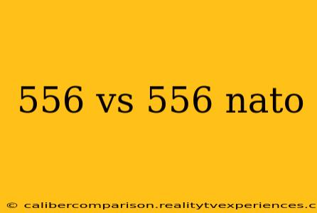 556 vs 556 nato