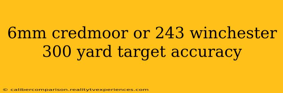 6mm credmoor or 243 winchester 300 yard target accuracy