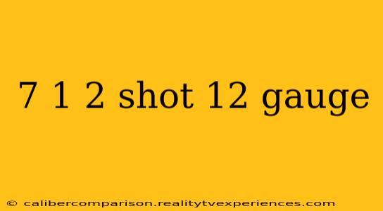 7 1 2 shot 12 gauge