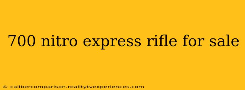 700 nitro express rifle for sale