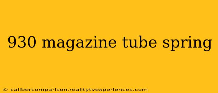 930 magazine tube spring