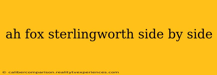 ah fox sterlingworth side by side