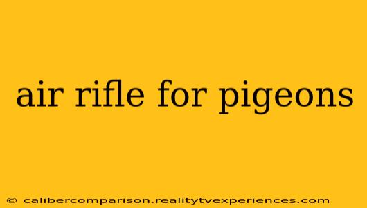 air rifle for pigeons