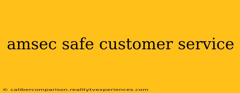 amsec safe customer service