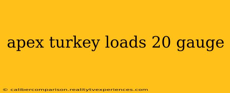 apex turkey loads 20 gauge