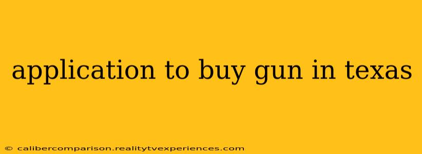 application to buy gun in texas