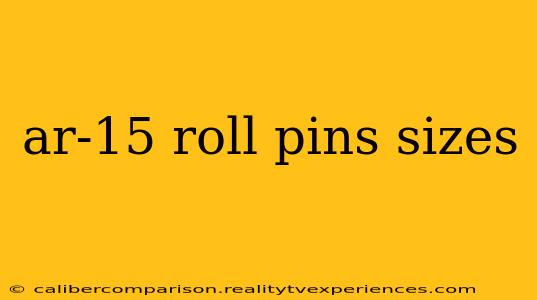 ar-15 roll pins sizes