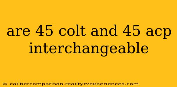 are 45 colt and 45 acp interchangeable