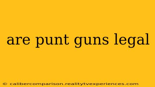 are punt guns legal