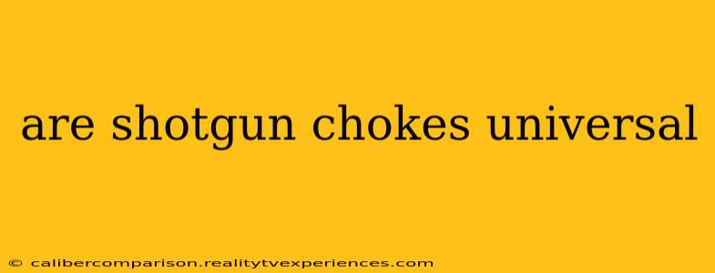 are shotgun chokes universal