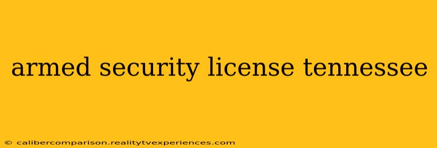 armed security license tennessee