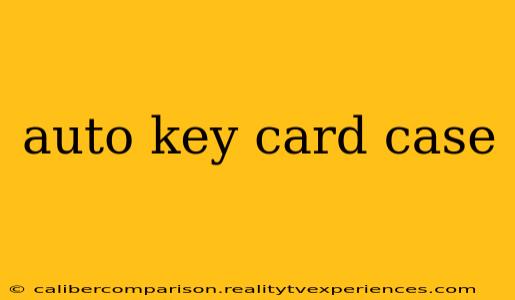 auto key card case