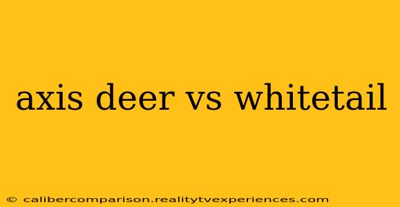 axis deer vs whitetail