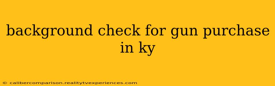 background check for gun purchase in ky