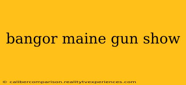 bangor maine gun show