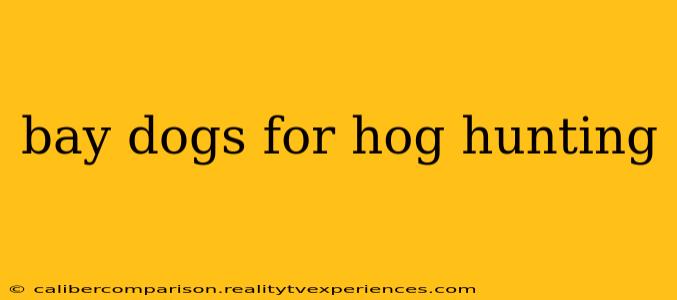 bay dogs for hog hunting