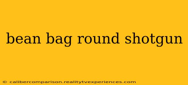 bean bag round shotgun