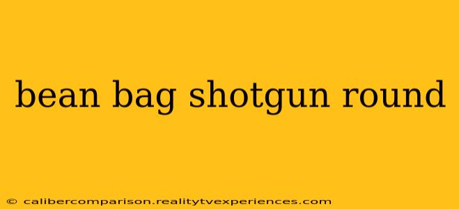 bean bag shotgun round