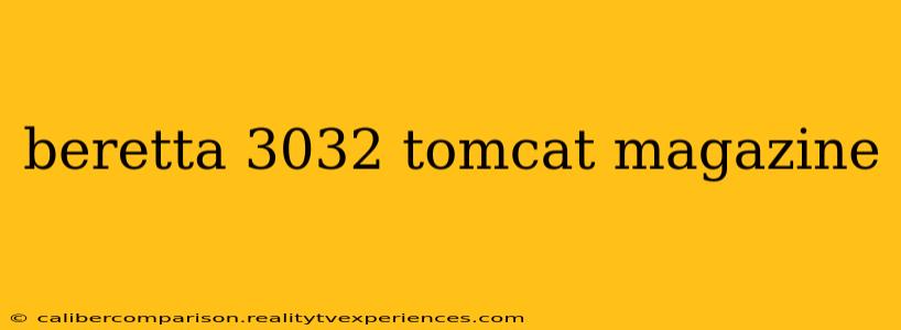 beretta 3032 tomcat magazine