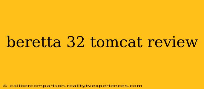 beretta 32 tomcat review