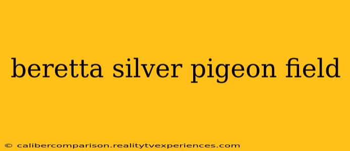 beretta silver pigeon field