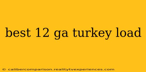 best 12 ga turkey load