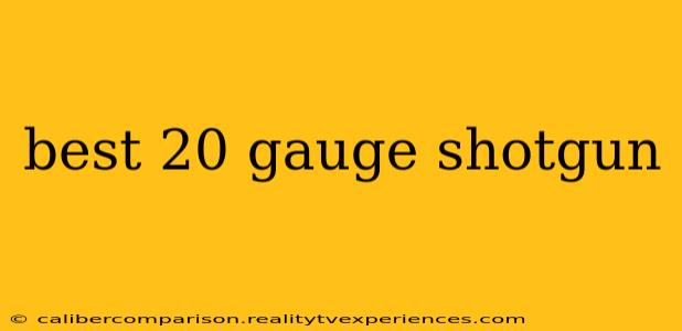 best 20 gauge shotgun