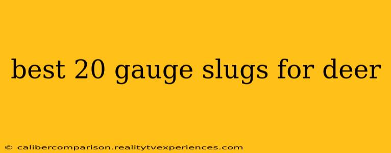 best 20 gauge slugs for deer