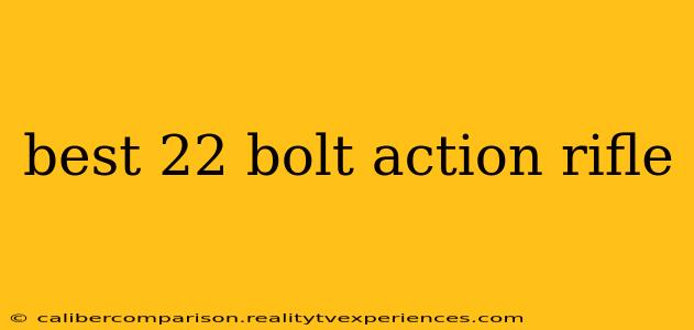 best 22 bolt action rifle