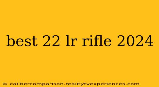 best 22 lr rifle 2024