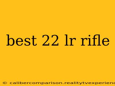 best 22 lr rifle