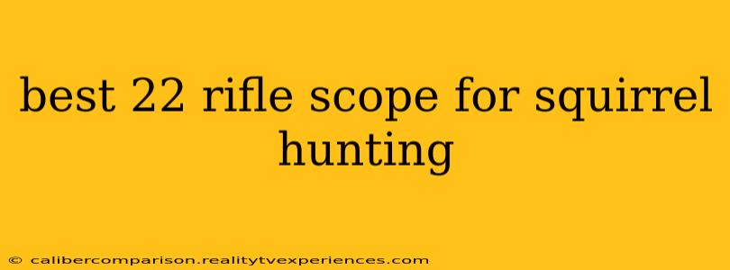 best 22 rifle scope for squirrel hunting