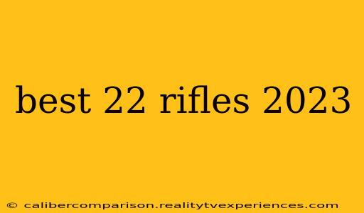 best 22 rifles 2023