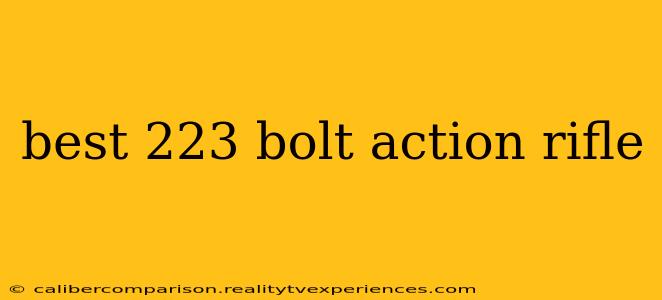 best 223 bolt action rifle