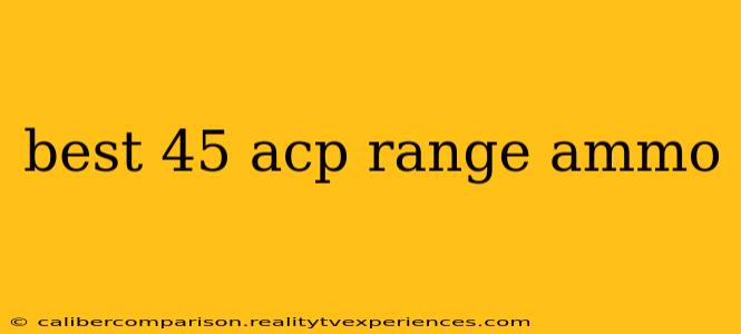 best 45 acp range ammo