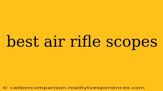 best air rifle scopes