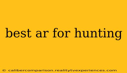 best ar for hunting