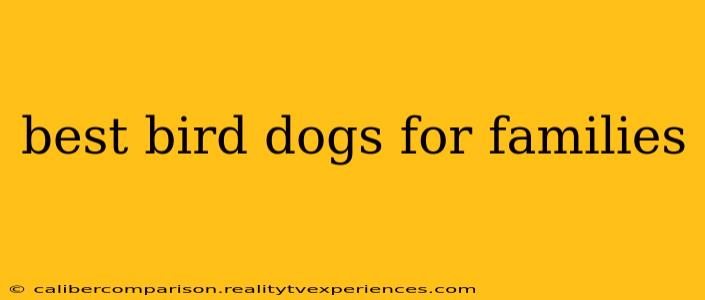 best bird dogs for families