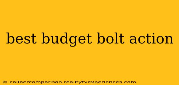 best budget bolt action