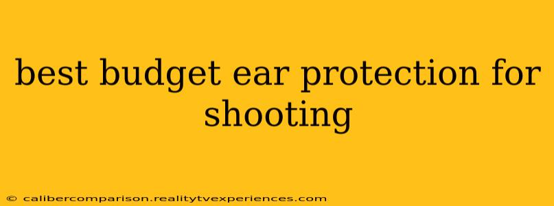 best budget ear protection for shooting