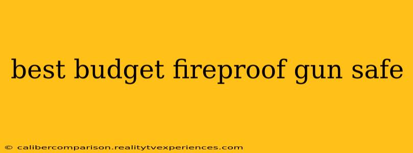 best budget fireproof gun safe