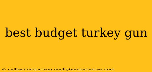 best budget turkey gun